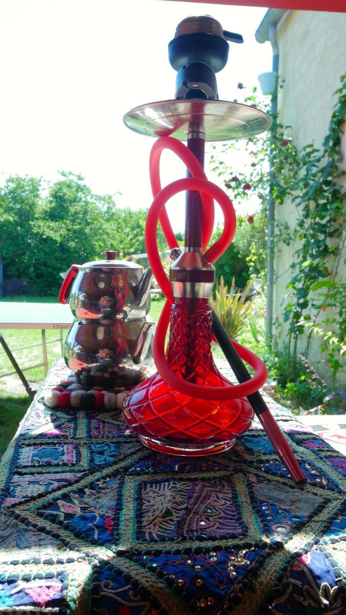 Les Jardins D'Ispahan Prignac-et-Marcamps Exteriör bild